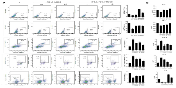 정상 대비 질환 유래 PD-L1+MDSC에 의한 면역세포 조절능 비교 분석