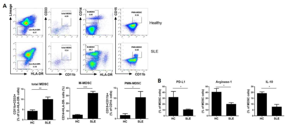 정상인과 루푸스환자의 혈액내에서 MDSC아형 분석