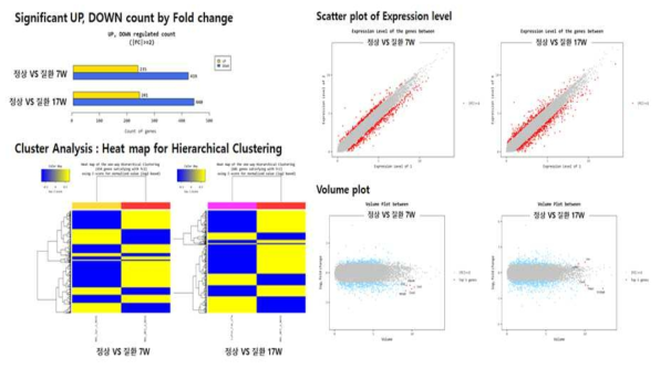 RNA sequencing 결과 clustering 분석