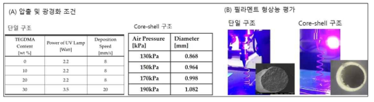 (A) 필라멘트 제조를 위한 압출 및 광경화 조건 (예시) 및 (B) 제조된 필라멘트 형상 (단일구조 및 core-shell 구조형 필라멘트)