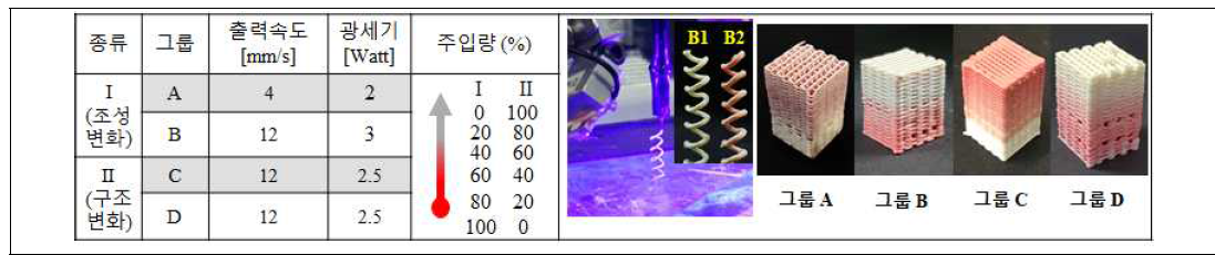 각 조성별 연속압출을 통한 플라팅 속도 및 광경화 속도 조건 수립. 그룹별 제조된 경사기능형 세라믹 스캐폴드 성형체 이미지