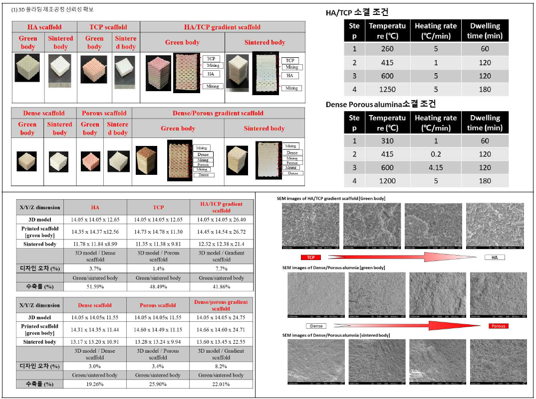 각 그룹 조성에서의 세라믹 구조체 이미지 및 내부구조 확인 결과