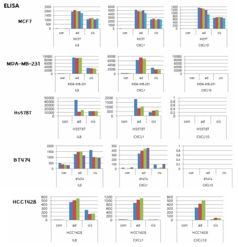 TIS 된 다양한 유방암 세포주에서 SASP 인 IL8, CXCL1, CXCL10의 발현 정도를 ELISA로 확인