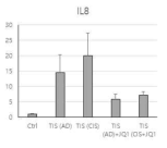 MDA-MB 231 TIS시 IL8 증가와 JQ1 처리시 억제 정도 확인