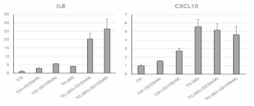 MCF7 TIS시 IL8, CXCL10 증가와 JQ1 처리시 억제 정도 확인