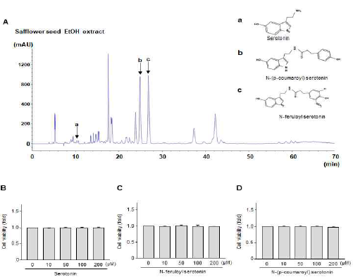 홍화 추출물에 대한 HPLC 분석 및 세포독