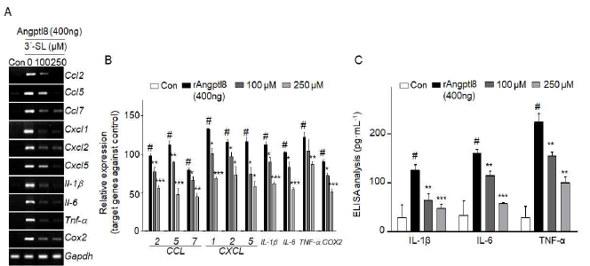 3′-SL에 의한 pro-inflammatory cytokine 및 Chemokine 발현억제 효과 확인