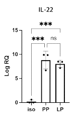 ILC3에서IL-22 mRNA에 BRF단백질의 결합을 RNA IP로 검증