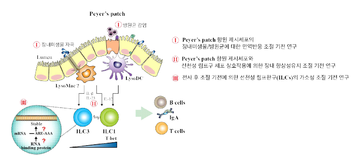 본 연구의 최종 목표