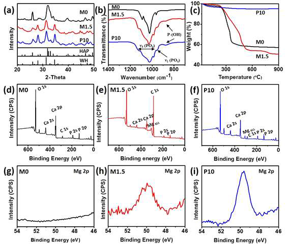 합성된 M0(HAP nanowire), M1.5(WH nanoplate), and P10(WH nanosphere)의 특징 분 석. Spectroscopic analysis of (a)XRD and (b) FTIR, (C) Thermogravimetric analysis(TGA), XPS charcterization at (d-f) with the wide scan, and(g-i)narrow scan of Mg 2P, in which a, b, and c depict M0, M1.5 and P10, respectively. Figure 2b compares the existence of P-OH bond from HPO42- in the FTIR spectrum. Whitlockite can be distinguished from TCP by the stable region of their phase and existence of HPO42- in the structures