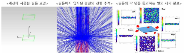 필름형 태양광 집광 장치의 광 추적 시뮬레이션 모식도