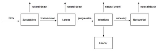 간염바이러스에 의한 간암 발생 결정론적 접근방법의 수학모형