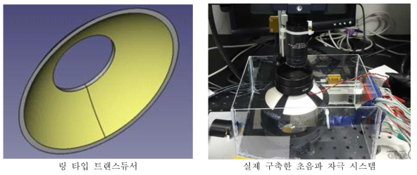 초음파 자극 시스템