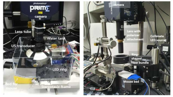 (좌) 초음파 뇌자극에 따른 뇌영상 동시 획득 시스템 (우) 초음파 뇌자극 직후 뇌영상 획득 시스템 사진