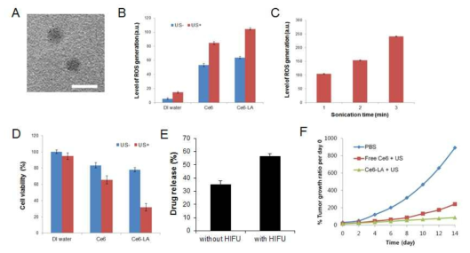 (A) Ce6가 탑재된 Ce6-Lauric acid (LA) NPs의 TEM 사진. scale bar = 200 nm. (B) Free Ce6와 Ce6-LA NPs의 초음파에 의한 세포 내 ROS 증가량 측정. (C) 초음파 조사 시간에 따른 세포 내 ROS 증가량 정량 (D) Free Ce6와 Ce6-LA NPs의 초음파에 의한 유방암 세포 독성 평가 (E) HIFU에 의한 Ce6-LA NPs의 약물 (doxorubicin) 방출 효능 평가. (F) tumor-bearing mouse model에서의 Ce6-LA NPs의 초음파역학치료에 따른 종양조직성장 억제 효능 평가