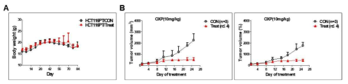 HCT116/PT, HCT116/BR 및 HCT116/OR 대장암 세포 xenograft mouse model의 체중과 tumor volume 변화 비교 및 고찰