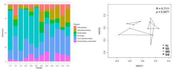 (왼) 12개 샘플의 개체군 분석 결과. 개체군 별 OTU의 상대적 비율을 Phylum 수준에서 나타냄. (오) 개체군 별 Phylum의 상대적 비율을 기반으로 한 NMDS와 ANOSIM 결과