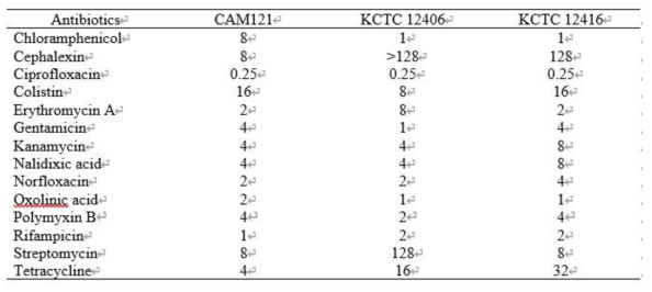 항생제 감수성 테스트 결과