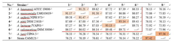 균주 CAM121과 A. baumannii complex 참조균주들의 average nucleotide index (ANI)