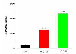 Effect of chitosan coating on the cellular uptake of ICG loaded in liposomes. B16-F10 melanoma cells were incubated with 40 μM ICG in lipid emulsions for 4 hours