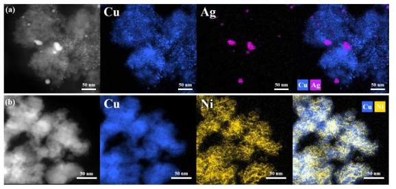 Ag와 Ni을 첨가했을 때 나노 다공성 복합체의 elemental mapping 이미지