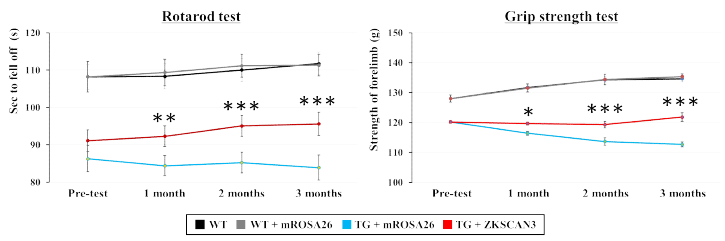 Motor funtion test – Rotarod test, Grip strength test