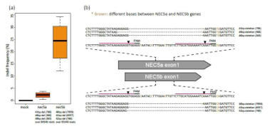 NECTARIN5a, NECTARIN5b Knock-out line design