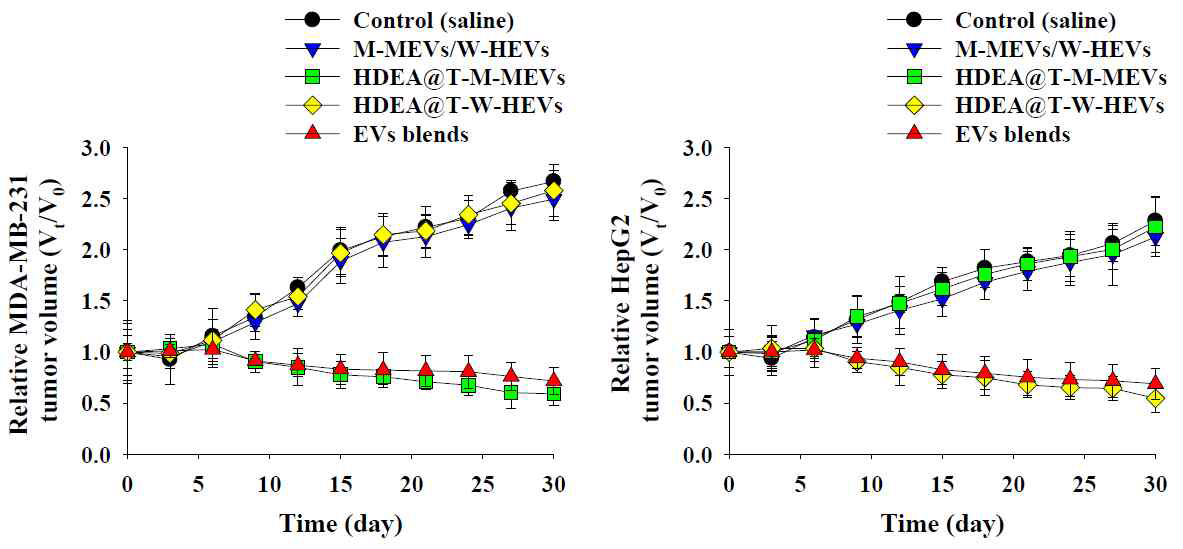 Dendritic cell 표적화 엑소좀 칵테일(EVs blend)은 다른 두 종의 암 조직[MDA-MB-231 암 조직(왼쪽), HepG2 암 조직(오른쪽)]에 대해서 동등한 항암 효력을 발휘하지만, 개별 엑소좀 제형은 각각 개별적 암 조직에만 통계학적으로 유의한 항암 효과를 발휘함. 특히, 칵테일 제형(antigen 기준 150μg/kg)은 투여 용량이 개별용량의 1/2수준에 불과해도, MDA-MB-231 암(왼쪽), HepG2 암(오른쪽) 양쪽 모두에 대해서 모두 우수한 항암 특성을 보임(실험모델: 각 암종 피하접종 누드 마우스, n=5)