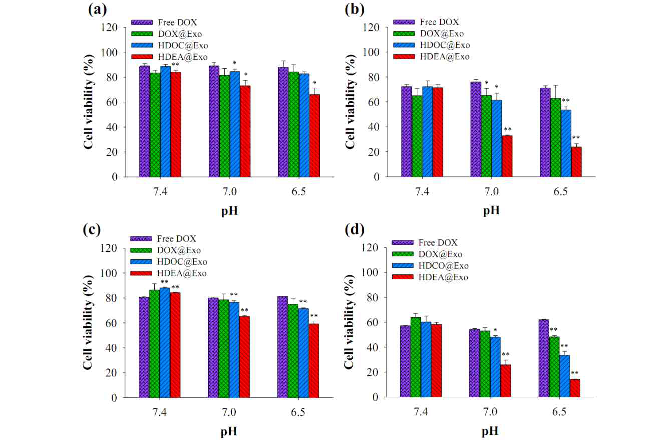 37℃에서 서로 다른 pH 조건(pH 7.4-6.5)에서 free DOX 및 엑소좀 제형을 처리한 후 (a) 4시간 및 (b) 24시간 동안 배양한 KB 세포의 생존율과 (c) 4시간 및 (d) 24시간 동안 배양한 HCT-116 세포의 생존율(n=7)