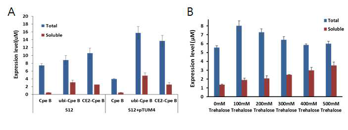 CpeB의 용해도 증가. (A) Ubiquitin fusion을 통해 용해도 증가효과 확인, (B) 농도별 trehalose의 첨가에 따른 용해도 증가효과 확인