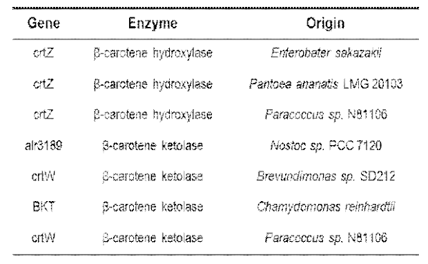 다양한 외래종 유래 효소