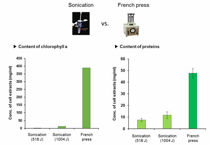 Synechocystis sp. PCC6803의 세포벽 파쇄 방법 비교