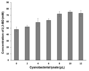 2,3-BD의 합성에 시아노박테리아 세포파쇄액의 효과