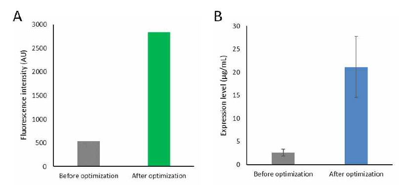 최적화 후 sfGFP 합성 효율 비교 (A) sfGFP 형광값 (B) 방사선 동위원소 표지된 leucine을 이용한 발현량