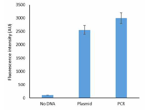 Synechocystis sp. PCC 6803 무세포 단백질 발현 시스템에서 plasmid와 PCR 사용시 발현량 비교