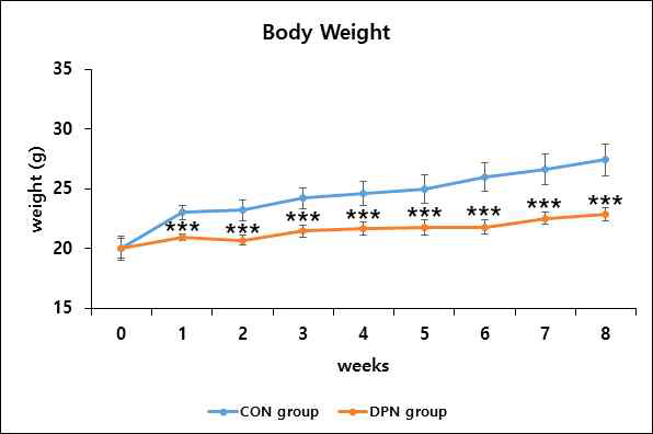 대조군과 DPN 모델 실험군간의 체중 변화 비교