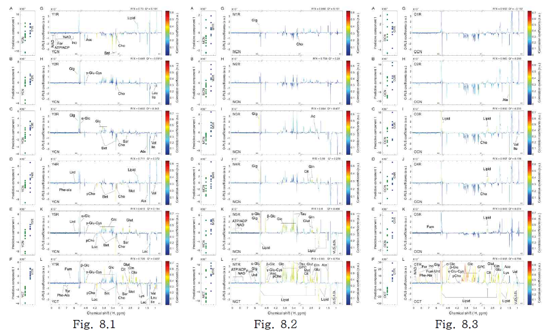 Metabolic perturbations in liver tissues during 30% calorie restriction in young (2-month-old, Fig. 8.1), middle (6-month-old, Fig. 8.2) and old (18-month-old, Fig. 8.3) mouse for 1 to 5 days and 30 days. 3-HB, 3-hydroxybutyrate; Val, valine; Leu, leucine; Ile, isoleucine; Ala, alanine; Lys, lysine; Cit, citrate; FA, fatty acid; Lac, lactate; Glc, glucose; Pyr, pyruvate; Urd, uridine; AcOH, acetate; Glut, glutathione; Met, methionine; Tau, taurine; Cho, choline; Bet, betaine; GPC, glycerophosphocholine; Gln, glutamine; Glu, glutamate; Ino, inosine; For, formate; Fum, fumarate; Glg, glycogen