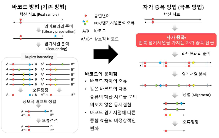 바코드 방법과 자가 증폭 방법을 통한 오류정정