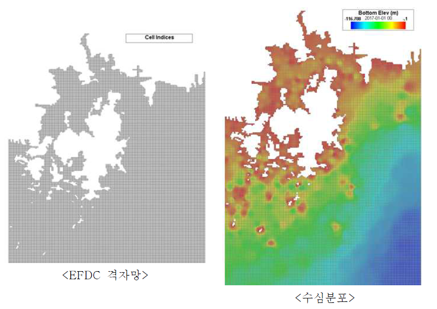 EFDC 격자망 및 수심 분포