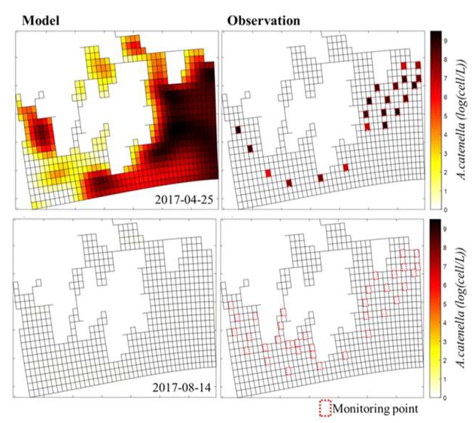 A.catenella의 모의 및 관측 시공간적 분포