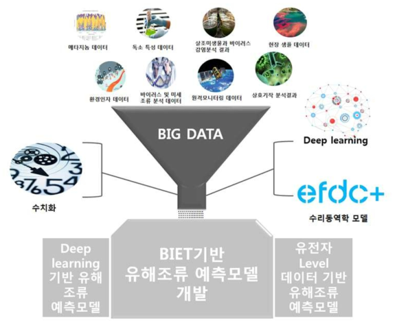 BIET 기반 유해 조류 예측 모델 개발