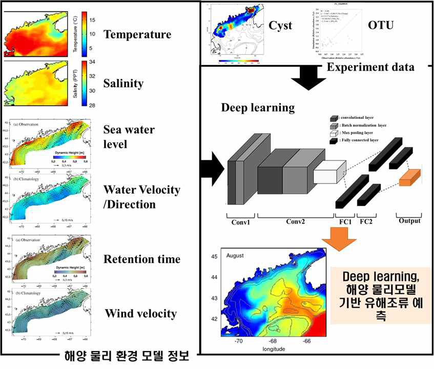 딥러닝, 해양 물리 모델기반 적조예측 모델 계략도