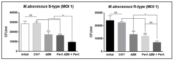 큰포식세포 내 M. abs 감염 모델에서 자소엽추출물의 효능 확인