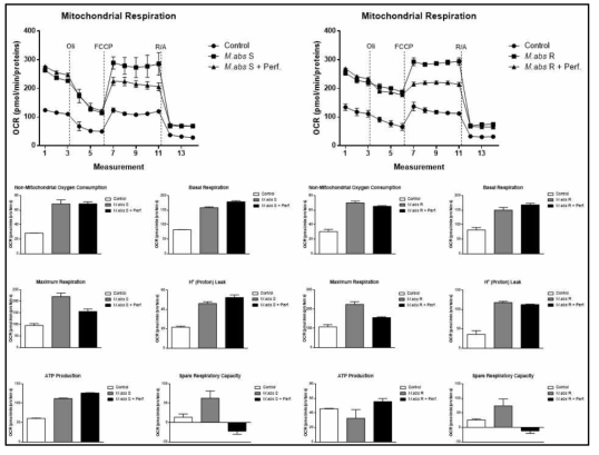 자소엽처리에 따른 M. abs감염 큰포식세포의 mitochondrial respiration 변화 검색