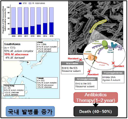 M. abs 감염증 국내 현황