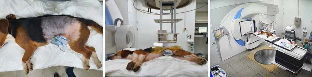 방사선치료 전 자세보정 및 방사선치료 과정 사진