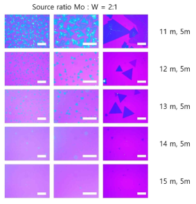 어닐링 시간을 변화시키며 합성한 MoS2의 광학현미경 이미지 (맨 윗줄부터 각각 어닐링 시간 1분, 2분, 3분, 4분 5분, 합성시간은 5분으로 고정) (스케일, 왼: 500 um, 중앙:200 um, 오른쪽 50 um)