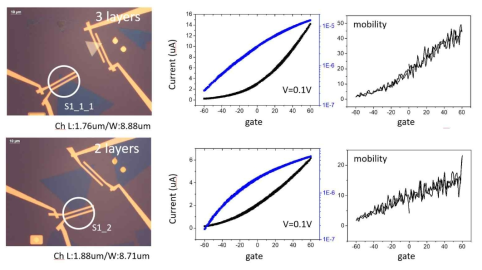 다중층 MoS2의 대표적인 전기적 특성평가 데이터 (좌: 광학현미경 이미지, 중(I-V graph), 우(전계효과 전하이동도, field-effect mobility) (위: 삼중층, 흰색 원, 아래: 이중층)