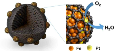 금 철 합금-탄소막 구조의 저백금 고내구성 고성능 산소 환원 반응 촉매를 표현한 그림. 산소 환원 반응에서 높은 성능을 보이며, 탄소막 구조 덕분에 높은 내구성을 가짐