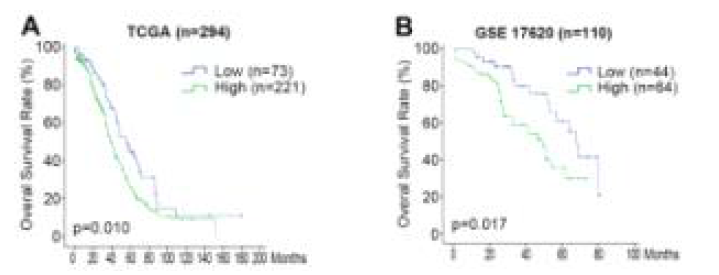 ANKRD13a 발현률에 따른 난소암 환자의 평균 생존률